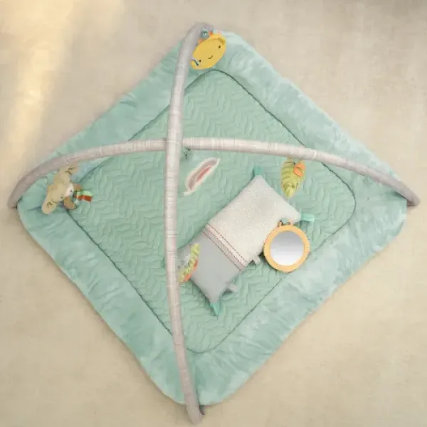 Розвиваючий килимок INGENUITY Calm Springs Chic Boutique