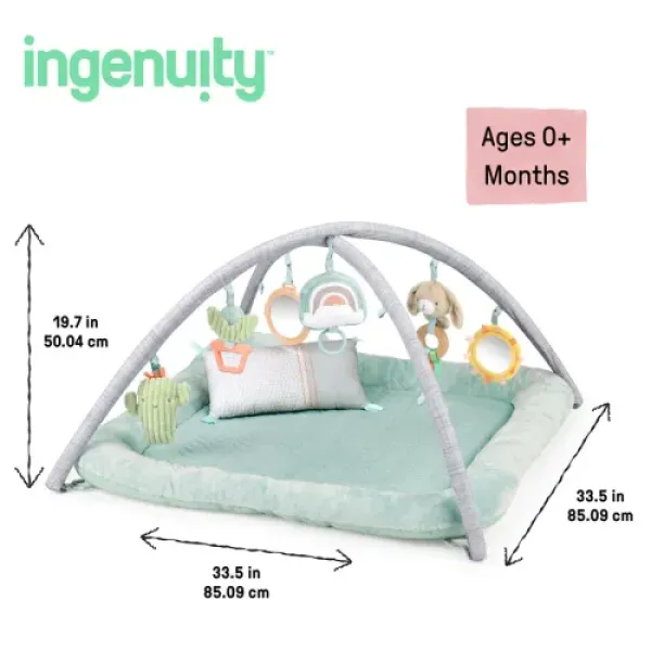 Розвиваючий килимок INGENUITY Calm Springs Chic Boutique