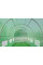 Садова теплиця-парник 32m2 Cultivo 4x8x2 Green