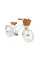 Дитячий велосипед Banwood Classic Pale-mint