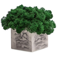Декор Gray Marble Moss квадратний