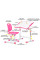 Комплект Evo-kids (стіл+стул) Evo-07 Ergo Pink (арт. Evo-07 Ergo PN) - стільниця біла / колір пластику рожевий (коробок-1 шт.)
