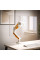 Держатель для монитора Mealux MA10-1 White / Orange