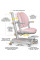 Дитяче крісло Mealux Ortoback Duo Plus Pink (арт.Y-510 KP Plus) - оббивка рожева однотонна (коробок-2 шт.)