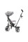 Трехколесный велосипед Kinderkraft Aston Grey (KKRASTOGRY0000)