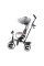 Трехколесный велосипед Kinderkraft Aston Grey (KKRASTOGRY0000)