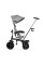 Трехколесный велосипед Babytiger Fly Gray (BTRFLYGRY00000)