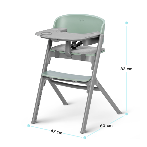 Стульчик для кормления с шезлонгом Kinderkraft Livy Calmee Olive Green (KHLICA00GRE0000)
