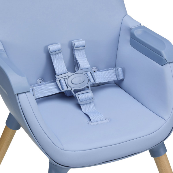 Стульчик для кормления 2 в 1 Kinderkraft Fini 2 Nordic Breeze (KHFINI02NOR0000)
