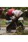 Прогулочная коляска Kinderkraft Grande 2 Black (KSGRAN02BLK0000)