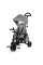 Трехколесный велосипед Kinderkraft Jazz Grey (KKRJAZZGRY0000)